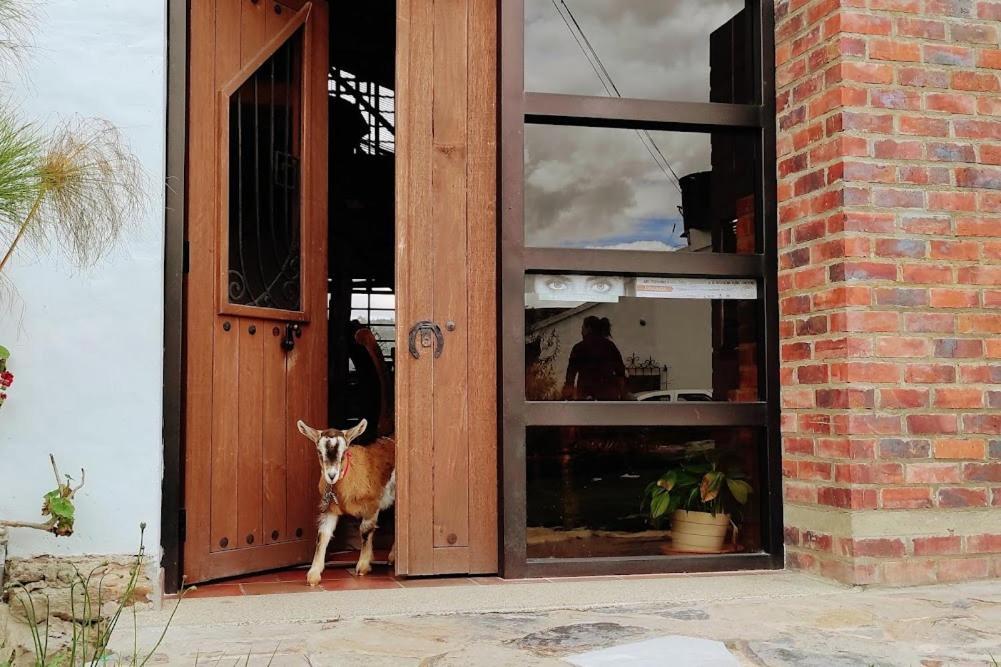 Cabanas & Glamping De Ruana Por Boyaca Paipa Luaran gambar